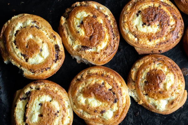 Peynirli kek, süzme peynirli turta. Süzme peynirli ve kuru üzümlü köfteler. Fırın tepsisinde yan yana yoğun turtalar. Ev yapımı pişirme.