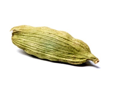 Beyaz arka planda izole edilmiş tohumlu organik yeşil ya da gerçek kakule makro yakın çekim.