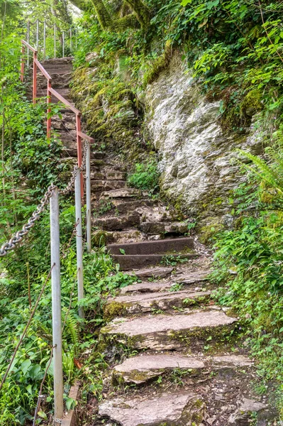 Path with steps carved into a sheer cliff.