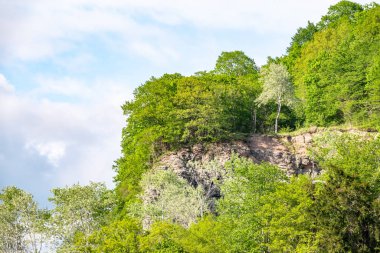 Yoğun yeşil ormanda kayalık uçurum. Dağ ormanında bahar renkleri.