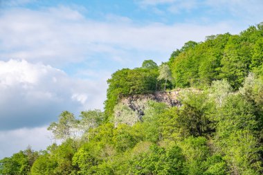 Yoğun yeşil ormanda kayalık uçurum. Dağ ormanında bahar renkleri.