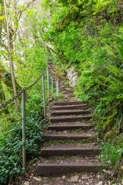 Path with steps carved into a sheer cliff.