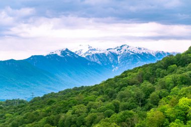 Yeşil Vadi güç hatları ile kalın ormanda. Kar dağlar ufukta görünür şapkalı