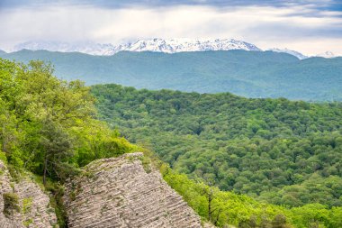 Yüksek bir tepenin yamaçlarındaki sık yeşil yaprak döken orman. Kireç taşı uçurumu. Kartal Kayaları, Soçi, Rusya
