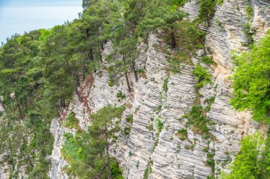 Yoğun yeşil ormanda kayalık uçurum. Dağ ormanında bahar renkleri.