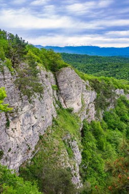 Yüksek bir tepenin yamaçlarındaki sık yeşil yaprak döken orman. Kireç taşı uçurumu. Kartal Kayaları, Soçi, Rusya