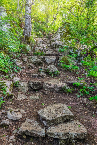 Path with steps carved into a sheer cliff at sunset light