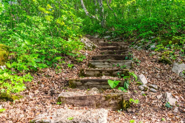 Old wooden steps on a mountain trail