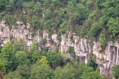 Kayalık kayalıklarda yoğun yeşil ormanda sis var.