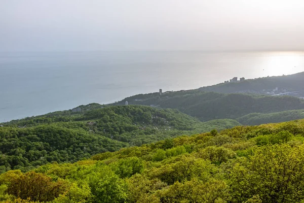 Зеленый берег моря с жилыми домами при солнечном свете . — стоковое фото