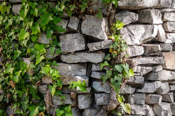 Древняя каменная стена, покрытая травой . — стоковое фото