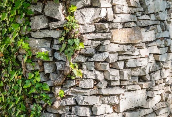 Ancient stone wall overgrown with grass.