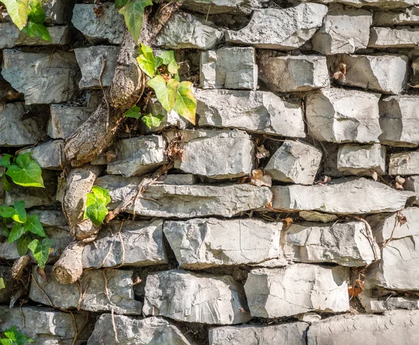 Ancien mur de pierre recouvert d'herbe . — Photo