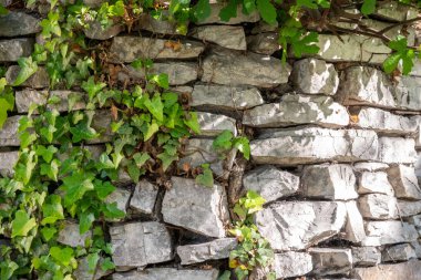 Çimlerle kaplanmış antik taş duvar..