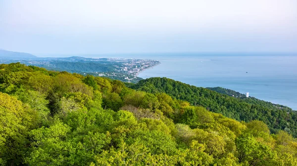 Πράσινες ακτές της θάλασσας με κτήρια κατοικιών στο φως του ηλιοβασιλέματος. — Φωτογραφία Αρχείου