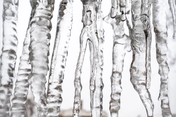 Transparente Eiszapfen auf weißem Hintergrund — Stockfoto