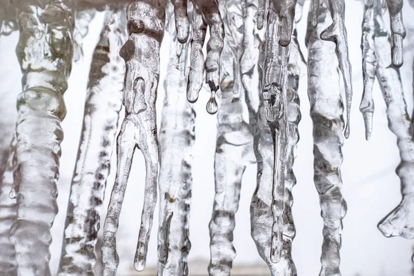 Carámbanos transparentes sobre fondo blanco — Foto de Stock