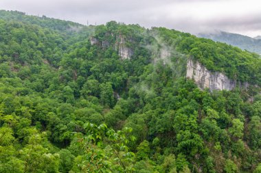 Kayalık kayalıklardaki yoğun yeşil ormanda sis var. Dağlardaki elektrik hatları.