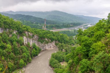 Altında nehir olan dağ geçidi. Siste yeşil dağlar. Dik yamaçlardaki dağ nehri kanyonu, sisli kanyon, parlak nehir..