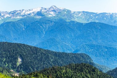 Yeşil dağ sırtları, yüksek dağlarla çevrili. Ufukta karla kaplı dağ zirveleri. Krasnaya Polyana, Sochi,, Rusya Federasyonu.