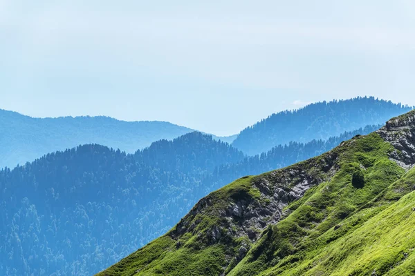 Spruce forest and green grass on the side of a mountain. Layers of mountains in the haze during sunset. Top down aerial view. Green spruce on the slope aerial view from the side.