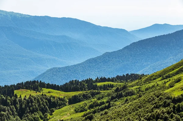 Blick Über Das Grüne Tal Umgeben Von Hohen Bergen Einem — Stockfoto