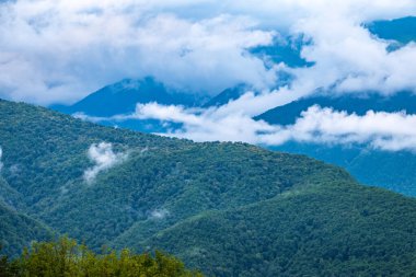 Yoğun bulutların ve sislerin arasına gizlenmiş yeşil yamaçlı yüksek dağ. Bulutlu bir günde dağlarda yoğun sis.