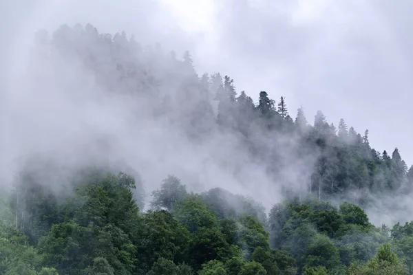 Hoher Berg Mit Grünen Hängen Versteckt Dichten Wolken Und Nebel — Stockfoto