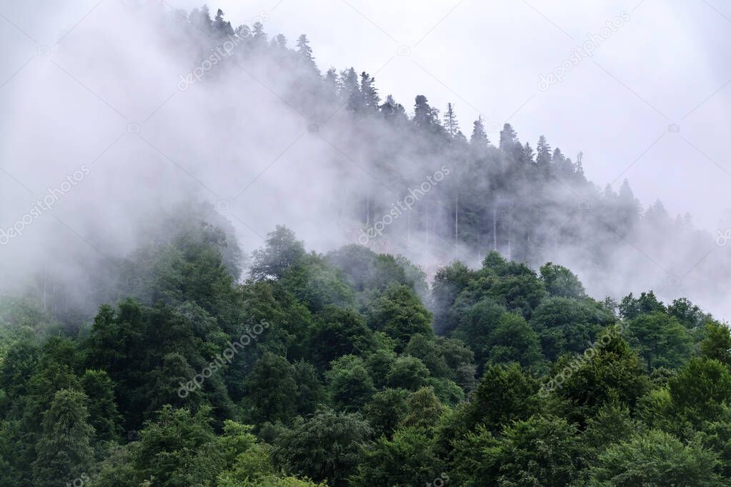 High mountain with green slopes hidden in thick clouds and fog. Heavy fog in the mountains on a cloudy day.