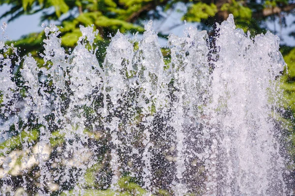 Vatten Stänk Från Fontänen Levande Grön Bakgrund Naturlig Textur Endast — Stockfoto