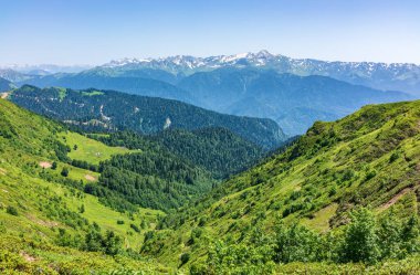 Açık bir yaz gününde, yüksek dağlarla çevrili Yeşil Vadi 'ye bakın. Yazın dağlar..
