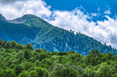 Yaz bulutlu bir günde yeşil dağ yamacı. Kalın bulutlu dağ manzarası.