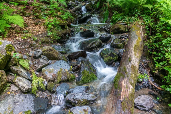 Arroyo Cascada Bosque Verde Disparado Con Una Larga Exposición Agua — Foto de Stock