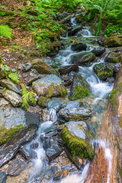 Yeşil Bir Ormanda Çağlayan Dere Uzun Süre Maruz Kalmış Uzun — Stok fotoğraf