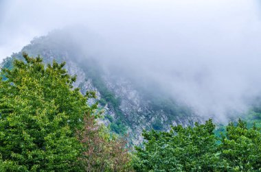 Yoğun bulutların ve sislerin arasına gizlenmiş yeşil kayalık yamaçları olan yüksek bir dağ. Bulutlu bir günde dağlarda yoğun sis.