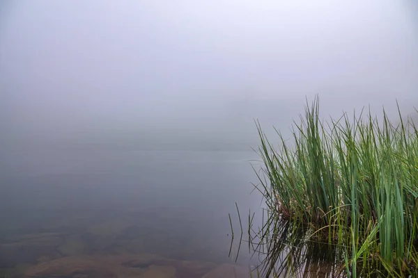 The shore of the lake is hidden in dense fog. The fog beautifully spreads across the lake. The far shore of the lake is hidden by dense fog and not visible.