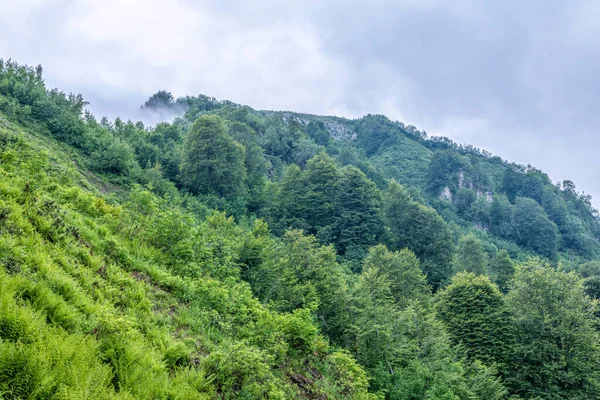 High mountain with green rocky slopes hidden in thick clouds and fog. Heavy fog in the mountains on a cloudy day.