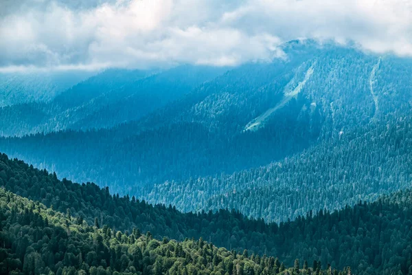 Altas Montañas Con Pendientes Verdes Densa Niebla Capas Montañas Neblina — Foto de Stock