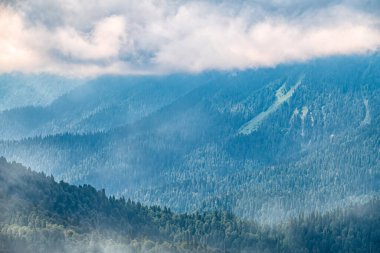 Yoğun siste yeşil yamaçlı yüksek dağlar. Gün batımında sisli dağların katmanları. Çok katmanlı sisli dağlar.