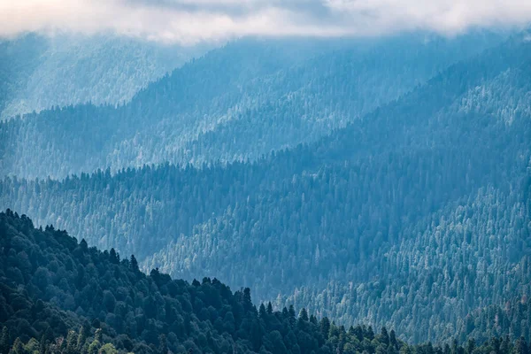 Hohe Berge Mit Grünen Hängen Dichten Nebel Schichten Von Bergen — Stockfoto