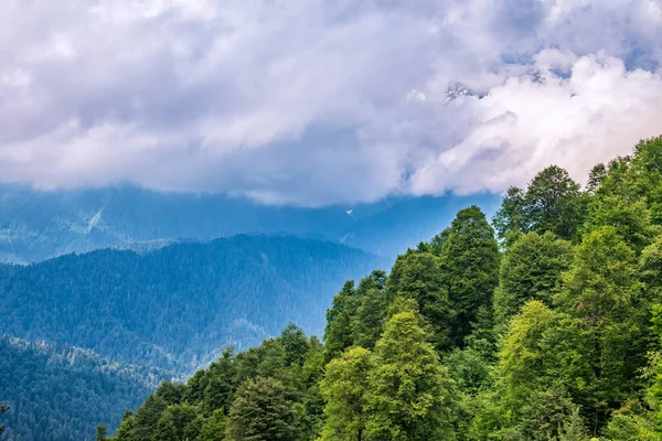 高い山の緑の斜面は雲や霧に隠れています 曇りの日に山の中で濃霧 — ストック写真