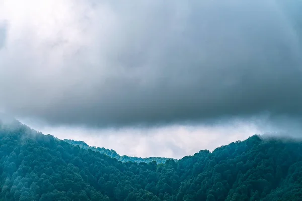 Encostas Verdes Altas Montanhas Estão Escondidas Nuvens Nevoeiro Névoa Pesada — Fotografia de Stock