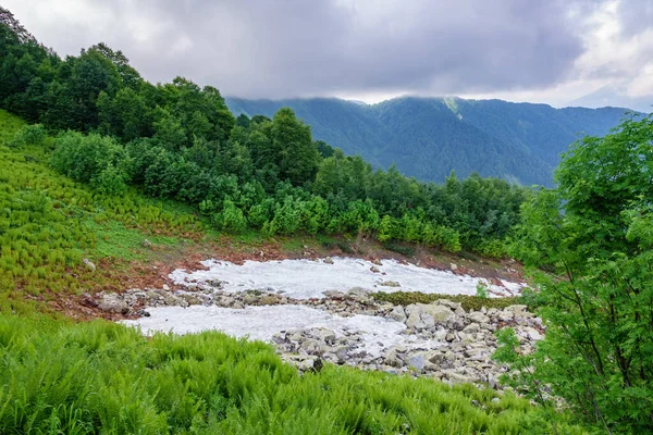 A layer of melting snow in the summer in high mountains. Slopes of mountains are hidden in clouds and fog. Green vegetation in summer.