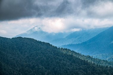 Yüksek dağların yeşil yamaçları bulutların ve sisin içinde gizlidir. Bulutlu bir günde dağlarda yoğun sis var. Kara yağmurlu gökyüzü. Gün batımında sisli dağların katmanları.