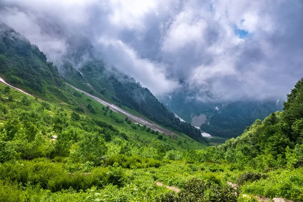 山の斜面の雲や霧の中に隠されている 高い山の中で夏に融雪の層 夏の緑の植生 — ストック写真