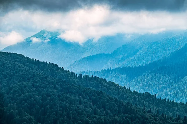Las Verdes Laderas Las Altas Montañas Están Escondidas Las Nubes — Foto de Stock