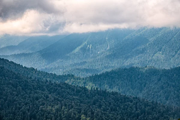 Altas Montanhas Com Encostas Verdes Densa Neblina Camadas Montanhas Névoa — Fotografia de Stock