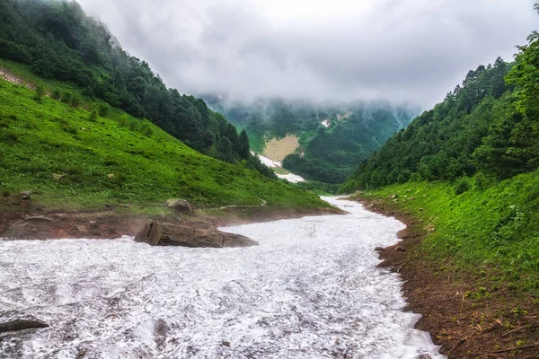 Mountain gorge with dense green vegetation and not melted snow. A layer of melting snow in the summer in high mountains. Heavy fog and Green vegetation in the mountains on a cloudy day.