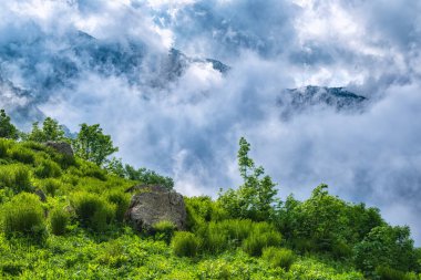 Bulutlarla gizlenmiş yüksek dağların görkemli manzarası ve yeşil bir uçurumdan gelen sis. Bulutlu bir günde dağlarda yoğun sis.