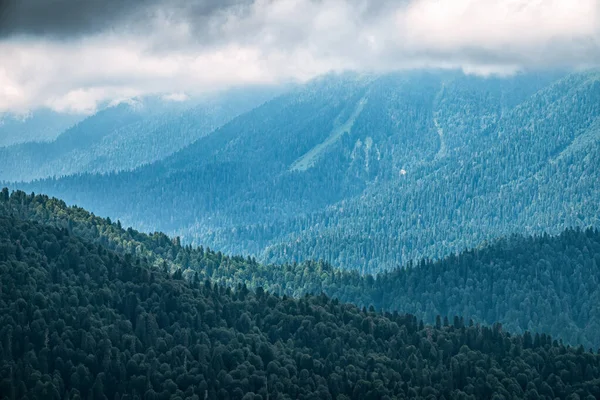 Las Verdes Laderas Las Altas Montañas Están Escondidas Las Nubes — Foto de Stock